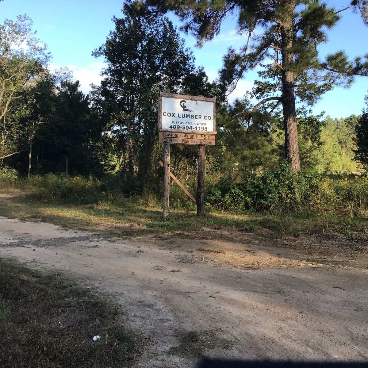 The road into the Cox Lumber Co. mill with the sign under the pines